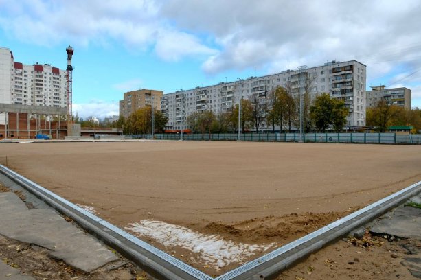 Реконструкция стадиона физической культуры и спорта Труд в Балашихе.