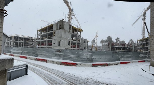 Строительство кампуса Новосибирского университета за 11 млрд руб.